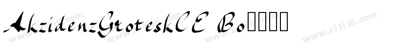 AkzidenzGroteskCE Bo字体转换